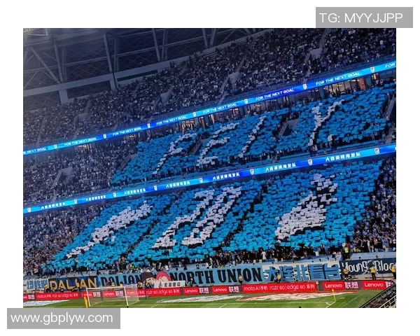 斯坦丘加盟英博后在中超的表现分析与未来展望